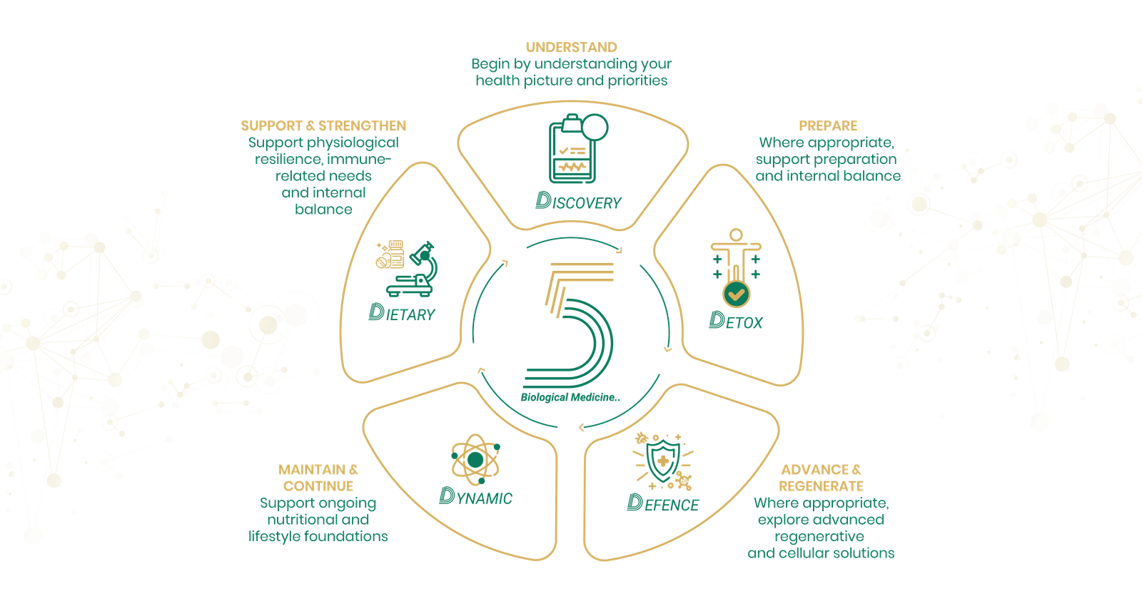 The OXYZ five-dimensional cycle of care: Discovery, Detox, Defence, Dynamic and Dietary